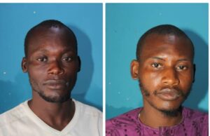 Police arrest 2 for defiling minor, raping housewife in Bauchi Police