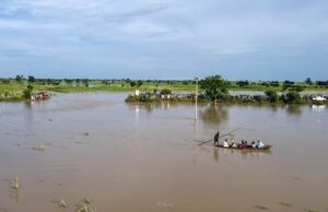 Flooding: Anambra farmers embark on premature harvesting of crops Flood