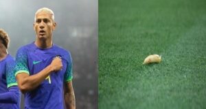 Tottenham forward racially abused with banana in Brazil win over Tunisia Tottenham forward