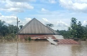 Flooding: NEMA puts Benue, Delta, Kebbi, 10 other states on alert UNICEF, Flood