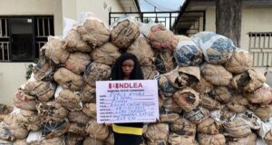 VIDEO: NDLEA arrests female drug dealer with 78 bags of cannabis Female drug dealer