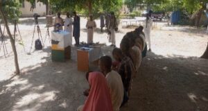 Police arrest Katsina village head for conniving with terrorists Village head