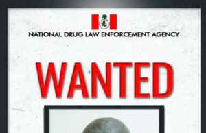 NDLEA blocks N217m, seizes 6 houses, declares Lagos socialite wanted Lagos socialite