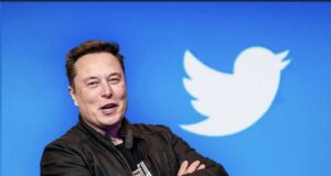 Elon Musk set to sack 3,700 Twitter workers Fine, Blue bird logo, Twitter, Musk
