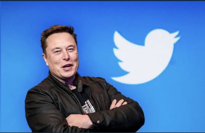 Blue bird logo, Twitter, Musk