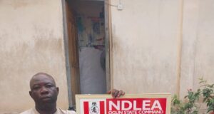 NDLEA seizes 5,851kg cannabis, arrests 45-year-old cripple NDLEA