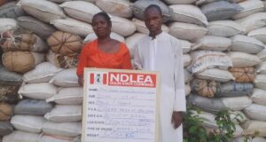 VIDEO: Couple arrested with 3,533kgs cannabis in Ogun Cannabis