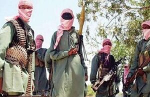 Terrorists kill 15 farmers in Borno as residents live in fear DR Congo, Terrorists
