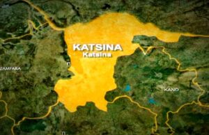 Troops foil bandit attack, recover 45 rustled animals in Katsina Colleague, Bandits, Robbers, Police, Katsina