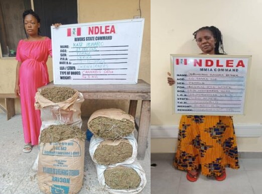 Grandma and pregnant woman arrested by NDLEA Pregnant woman