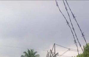 TCN begins reconstruction of collapsed towers on Kainji-Birnin Kebbi line Transmission towers