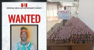 NDLEA declares Abuja drug lord wanted, recovers 2,000 bottles of codeine Abuja drug lord