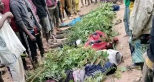 15 die in Niger road crash Niger