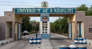 NANS: 90% UNIMAID students can’t afford new fees Tinubu, Borno
