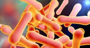 NCDC alerts Nigerians over diphtheria infection Diphtheria