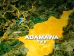 Insecurity: Adamawa cancels new year’s Eve festivities Female victim, Adamawa