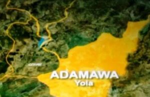 Man arrested for defiling 4 boys in Adamawa Female victim, Adamawa