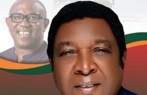 LP candidate’s murder: INEC postpones Enugu East senatorial election