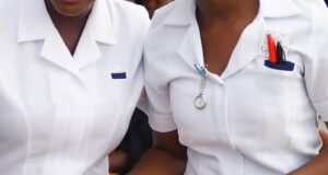 Nurses mourn as ‘one chance’ operators kill colleague in Abuja Warning strike, Nurses