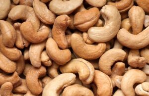 Nigeria targets $500m revenue from cashew export in 2023 cashew