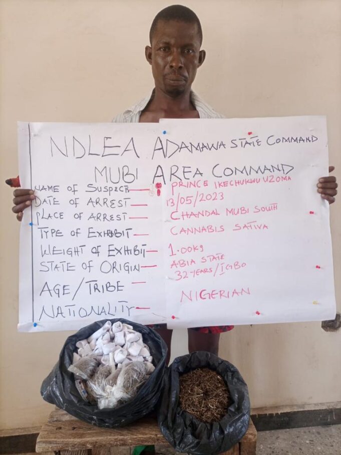 Arrested drug dealer NDLEA