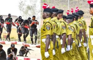 Recruitment: NDLEA extends assessment test by six hours NDLEA screening, Superintendent cadre applicants