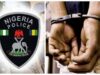 Police nab 3 with human parts in Osun Man, Car snatcher, Police