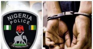 Lagos police arrest driver for crushing LASU student to death Delta, Masquerade, Man, Car snatcher, Police