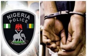 Police nab 3 with human parts in Osun Man, Car snatcher, Police
