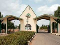 Stray bullet kills 400-level Niger varsity student Niger, Babangida University