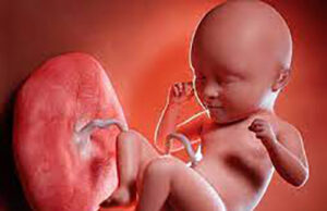 Nurse, hospital officials arrested over baby’s missing placenta placenta