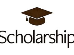Sweden opens portal for foreign professionals’ scholarship Foreign scholarship, ASUU, Postgraduate scholarship