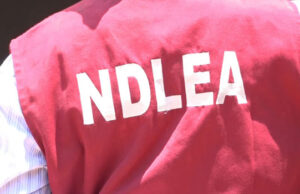 NDLEA arrests 360 for drug abuse in Anambra Hair, NDLEA