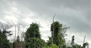 Troops foil oil well vandalism plot in Anambra Delta