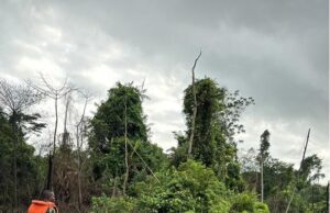 Troops foil oil well vandalism plot in Anambra Delta