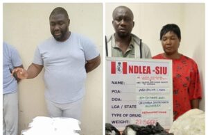NDLEA arrests wanted drug barons, wife, seizes luxury vehicles drug barons