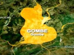Six arrested over alleged child abduction for ritual in Gombe Gombe, Pestle, Female student