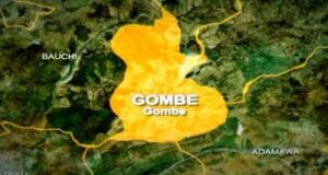 15-year-old girl sent on errand killed in Gombe Girl, Gombe, Pestle, Female student