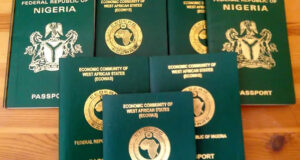 FG to launch biometric Single Travel Emergency Passport in 2026 Immigration, Passport fees, Tourists, Passports