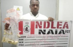 NDLEA nabs traffickers for ingesting 175 wraps of heroin Nwofor Charles