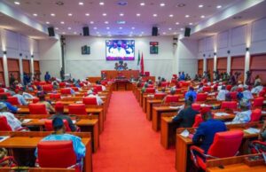 Electoral Act row deepens as Senate rejects amendment Security chiefs