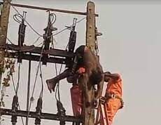 DisCo official electrocuted in Enugu Enugu, Cable