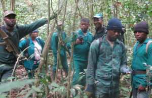 Insecurity: Tinubu mulls deployment of forest guards Forest Guards