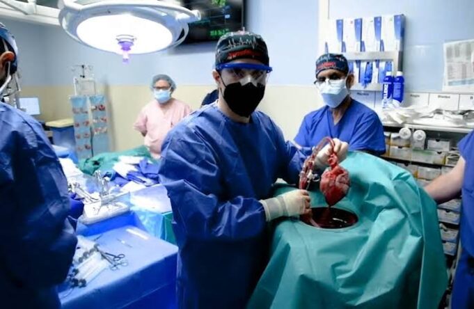 U.S. surgeons perform first pig-to-human kidney transplant Kidney transplant
