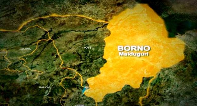 Boko Haram ambush vigilantes in Borno Children, Teenager, Borno
