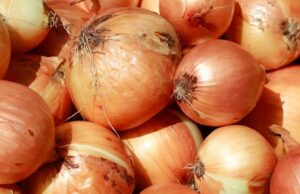 Farmers warn of possible onion price surge ahead of Christmas Soup