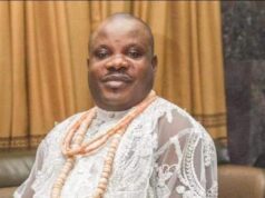 Audit report: Ijaw group faults Reps invitation of PAP boss Abbe, Nigeria-South Africa, Audit, Ijaw youths, Dennis Otuaro