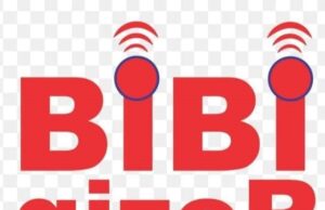 BiBigizer Africa partners FG to decarbonize Nigeria’s transport sector BiBigizer Power Capsule project