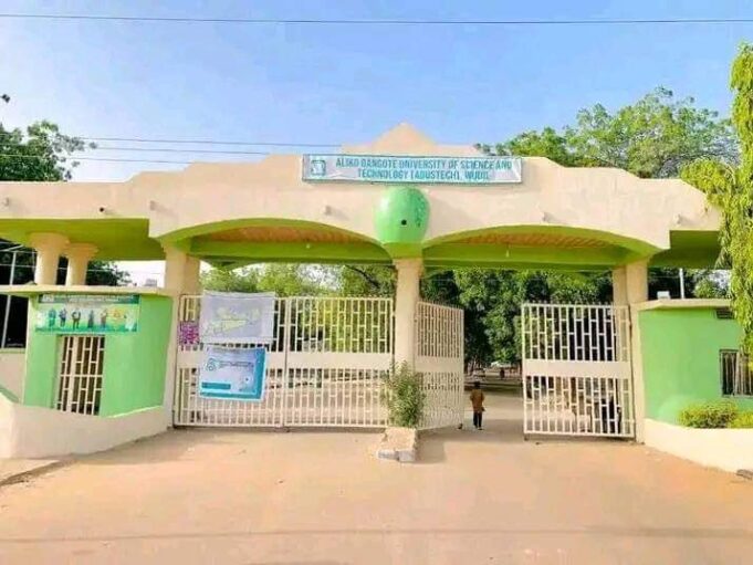 Aliko Dangote University in Kano Kano, Dangote