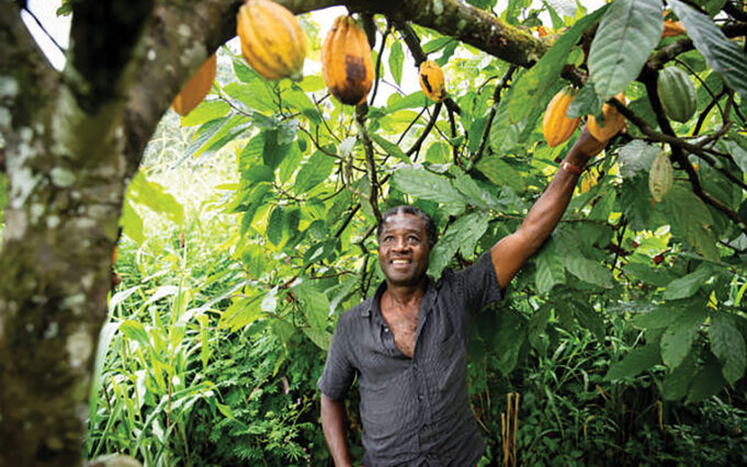 Cocoa farmers
